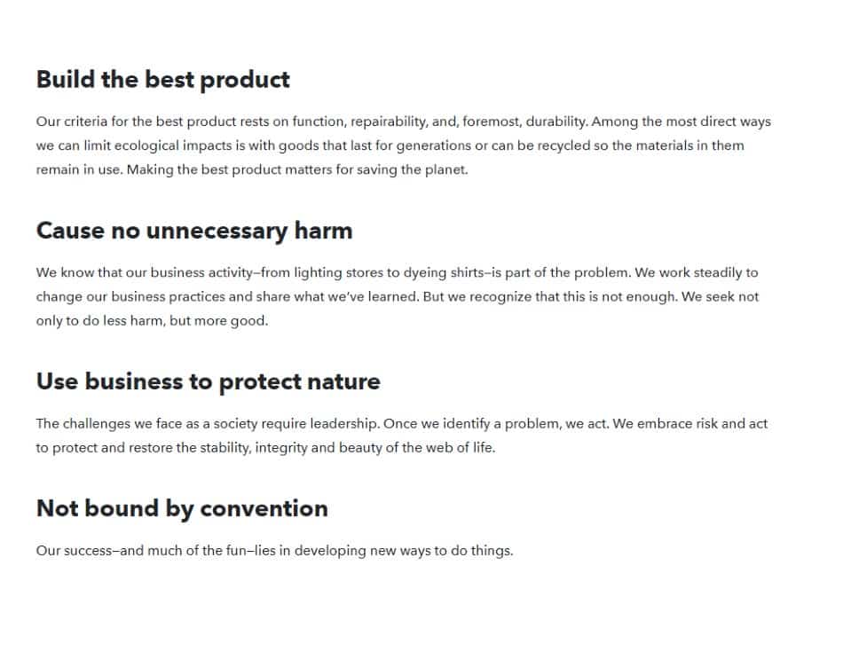 Skärmdump av Patagonia Vision Statement